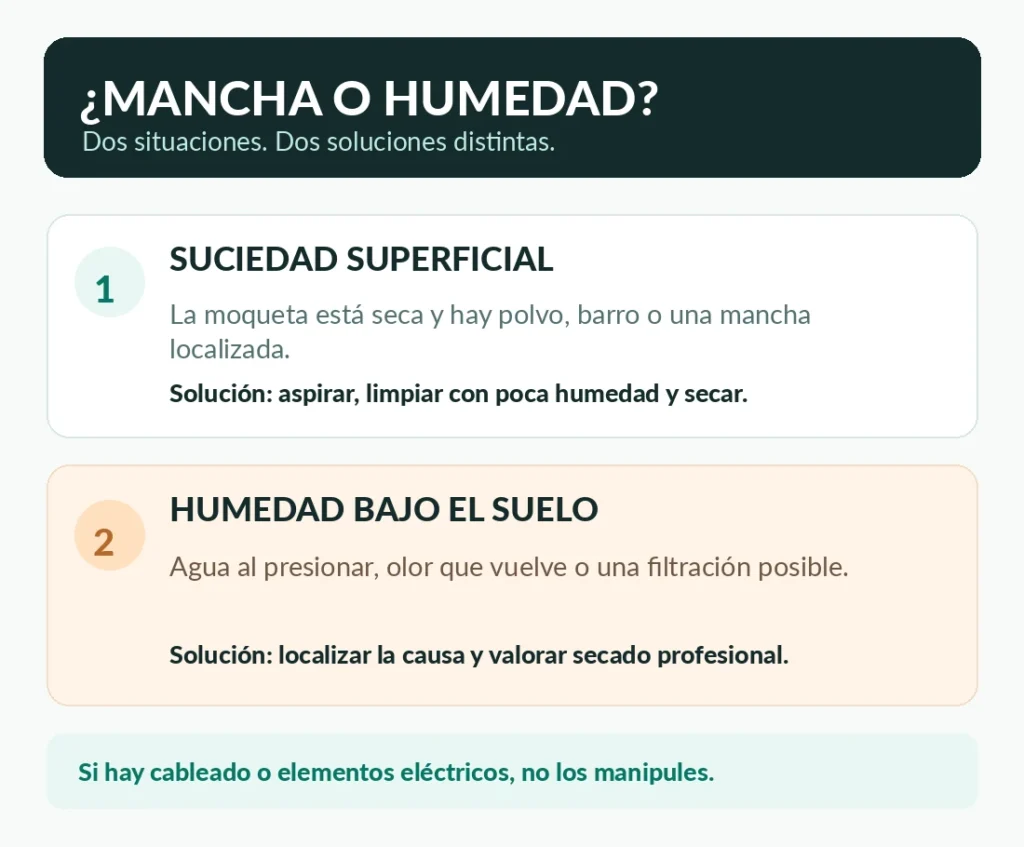 moqueta coche mancha o humedad infografia